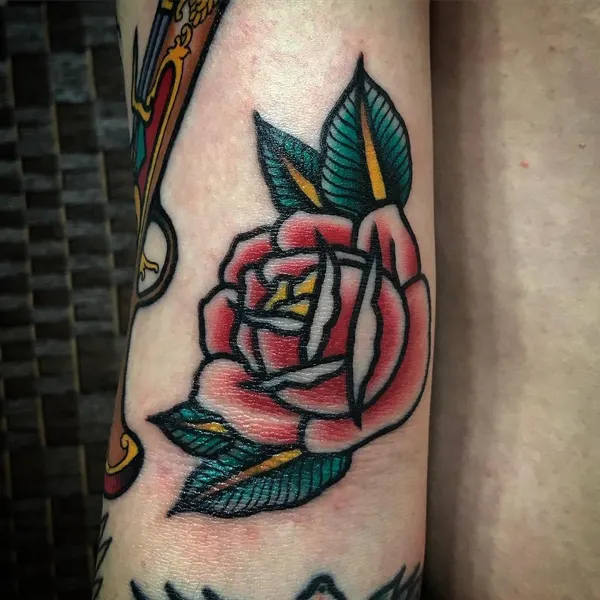Flower, Rose