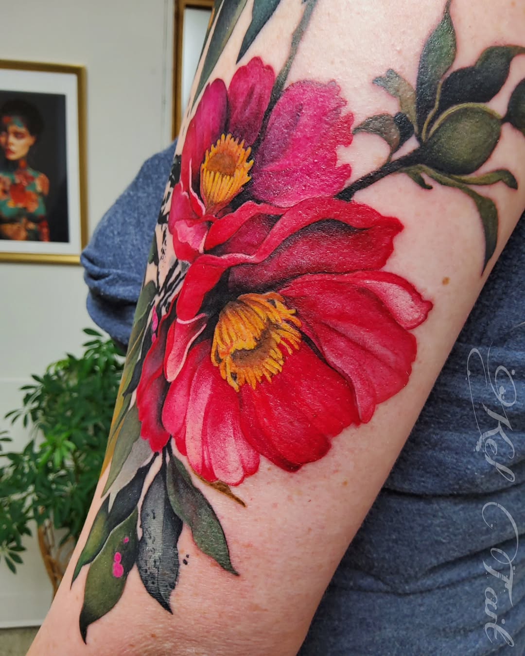 Flower, Rose