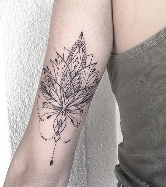Flower, Rose, 잎, 은행잎