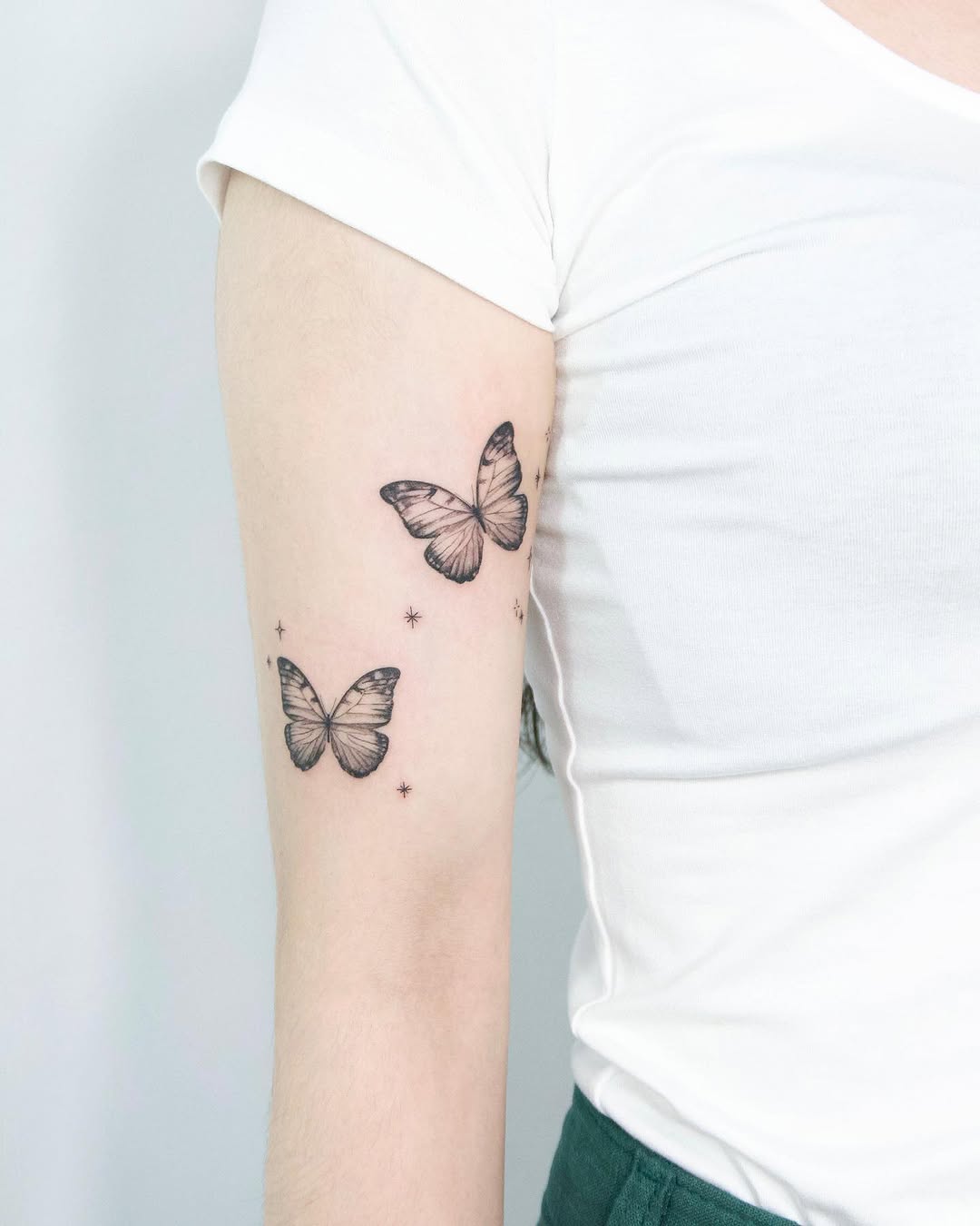 Nature, Animal, 나방, 나비