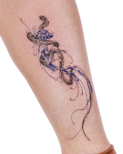 Dragon, 백조