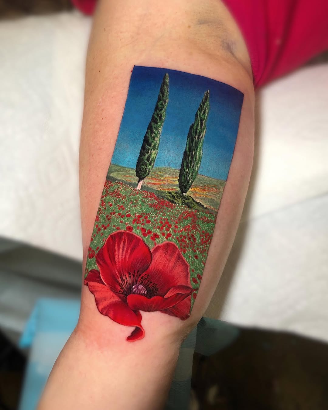 Flower, Rose, 사막, 양귀비