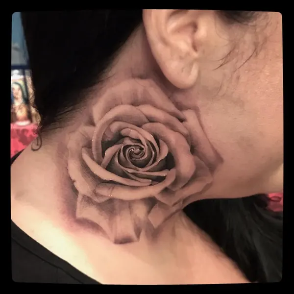 Flower, Rose, Nature