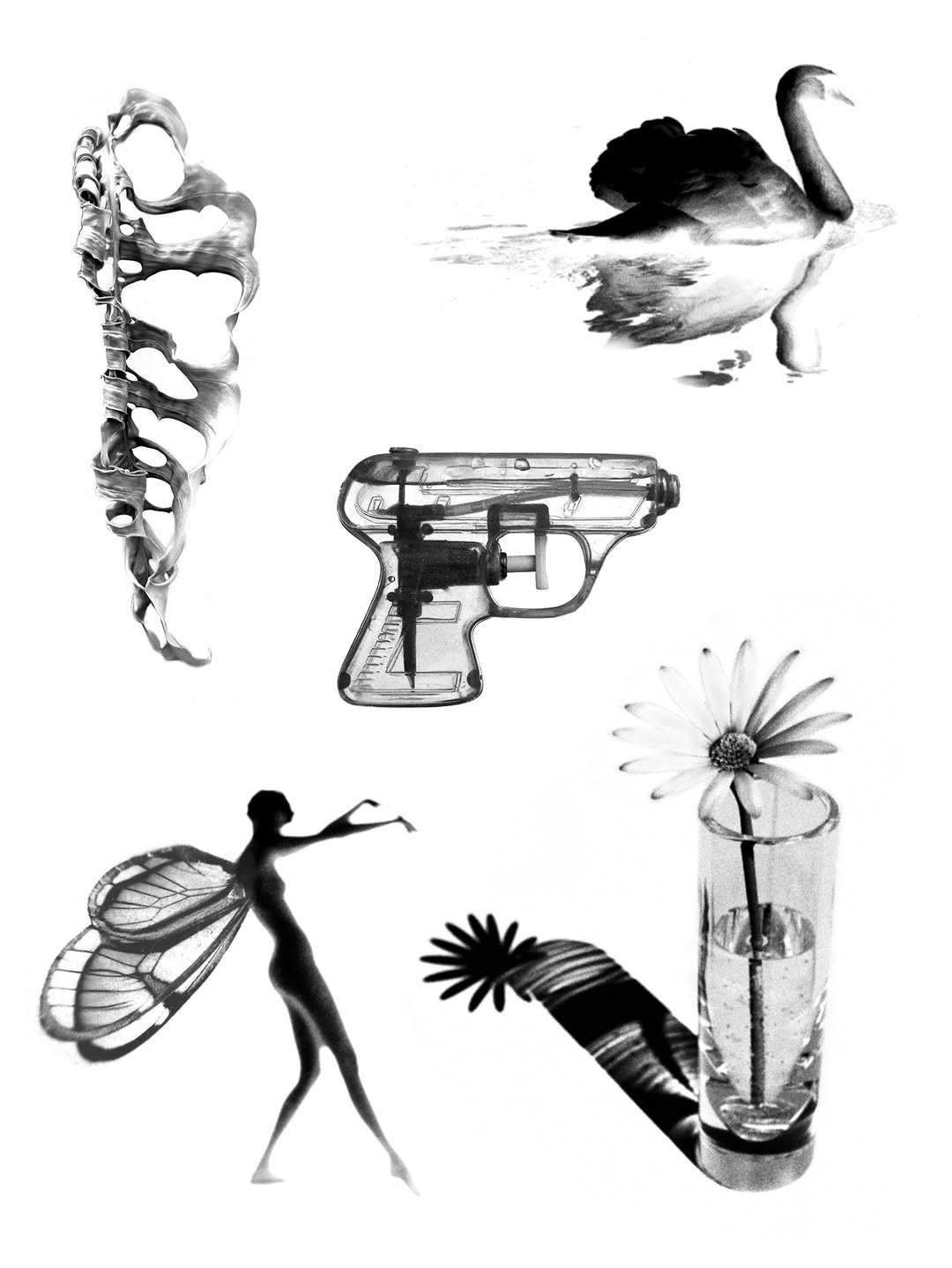 plantsnpokes