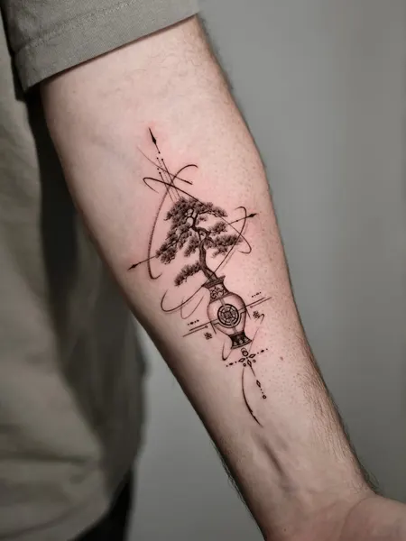 Nature, 매미, 바람