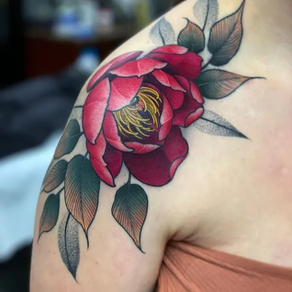 Flower, Rose, Nature