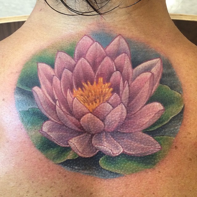 Flower, 연꽃, 연꽃 만다라