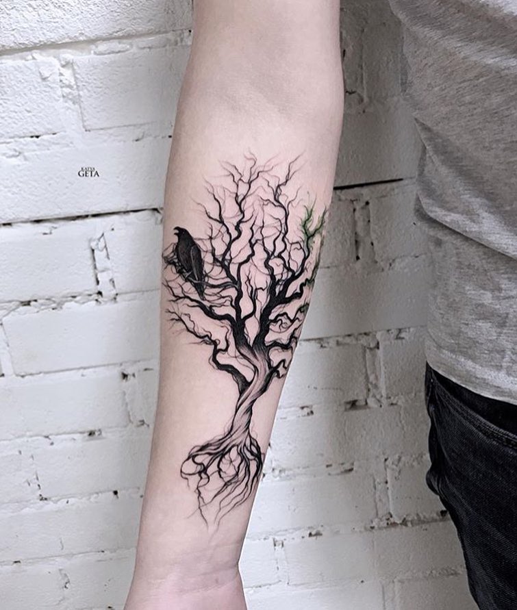 Nature, 뿌리, 숲, 나무, 소나무