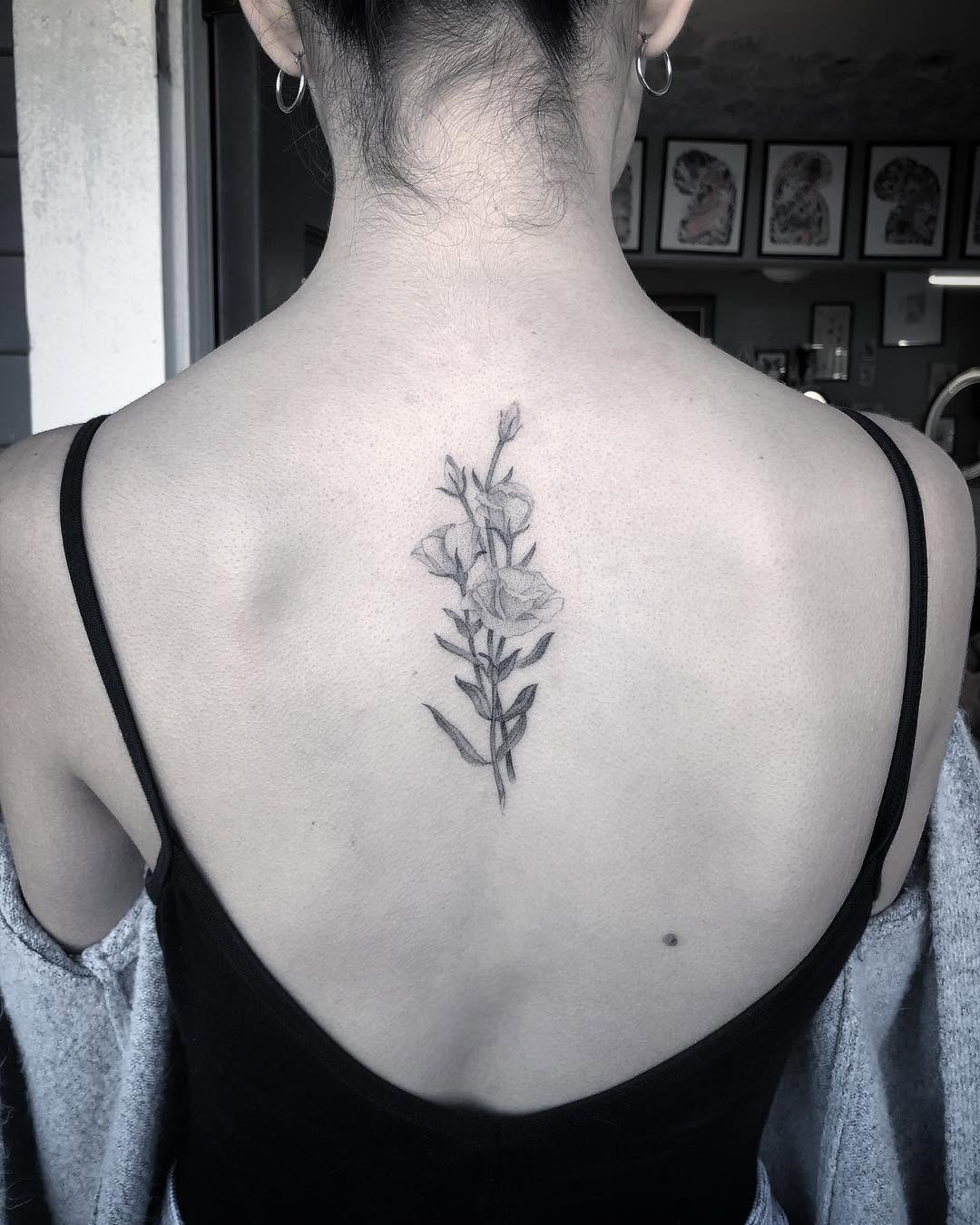 Flower, Nature, 풀, 고사리, 단풍잎, 은행잎, 탄생화, 대나무