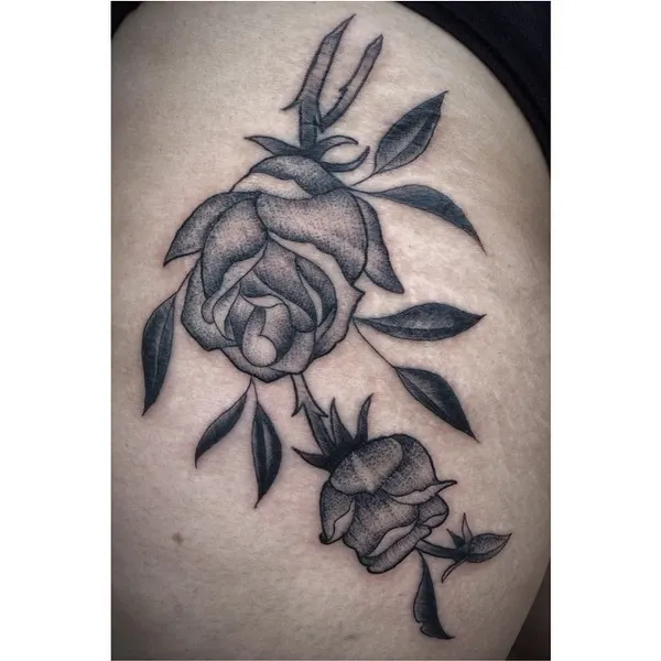 Flower, Rose, Nature