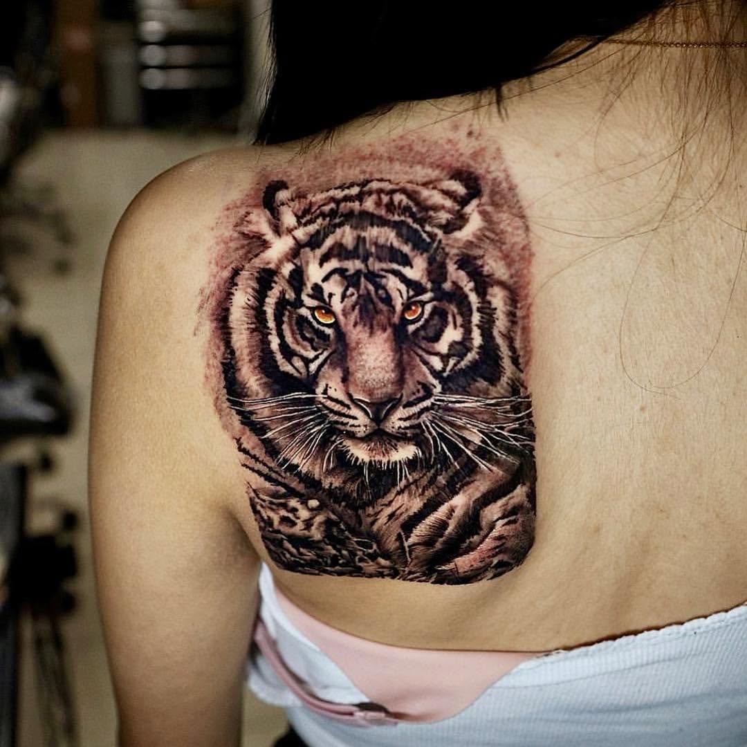 Tiger, 치타, 재규어, 사자자리, 일본 호랑이, 중국 호랑이, 한국 호랑이