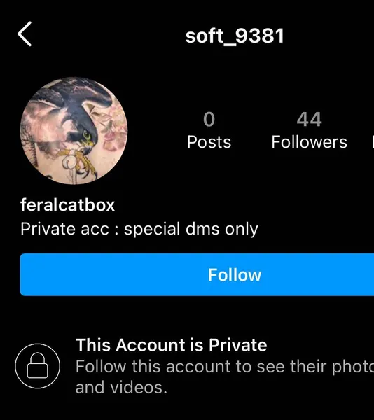 feralcatbox