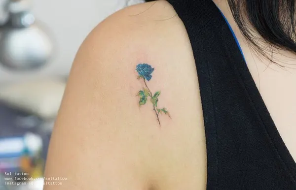 Flower, Rose