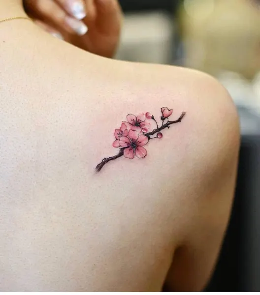 개미, Flower, 벚꽃, 댄서, 체리, 사쿠라, 일본 단풍, 뇌신, 잉어, 한복, 대나무, 작은 타투