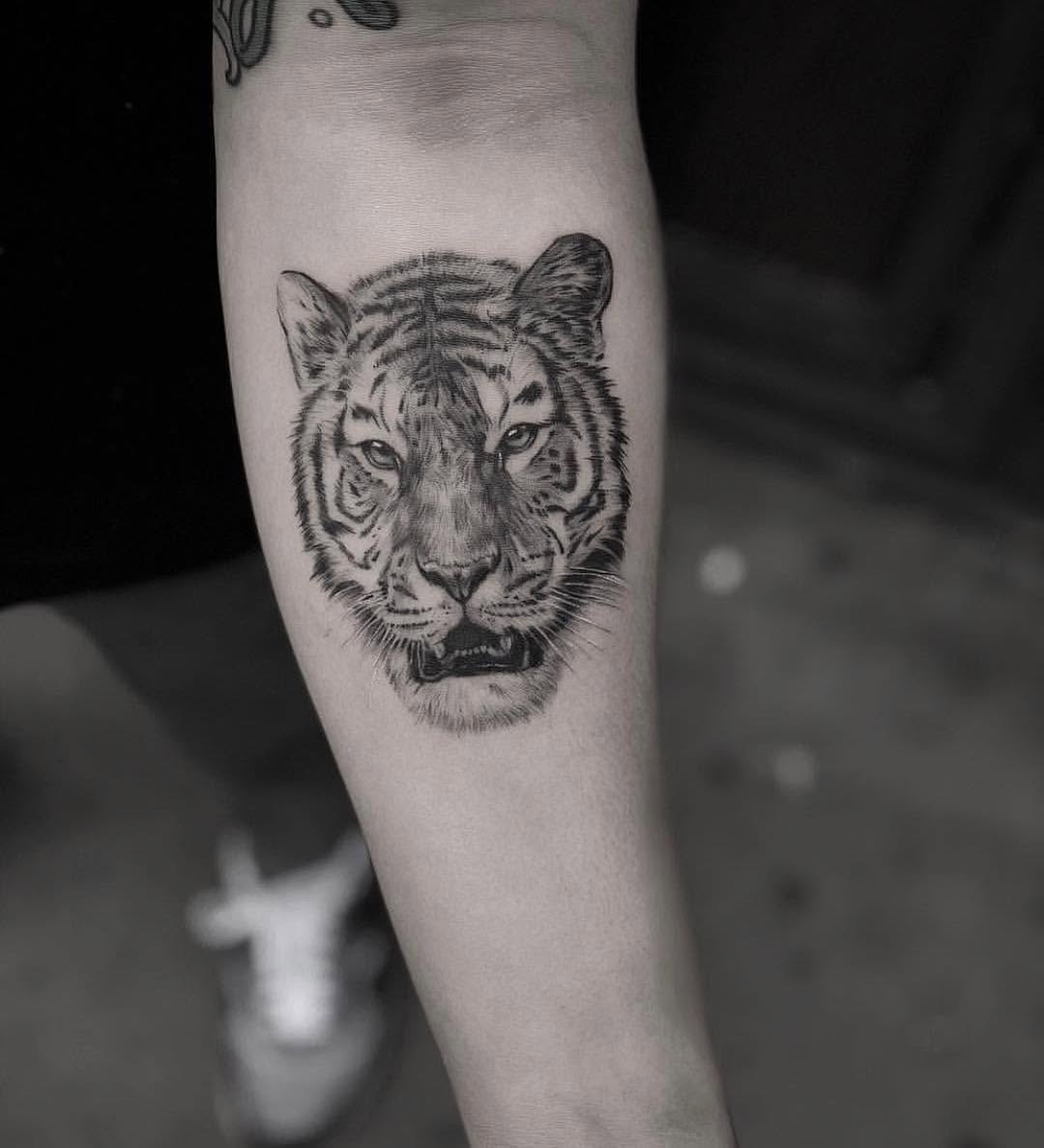Tiger, 치타, 중국 호랑이, 한국 호랑이