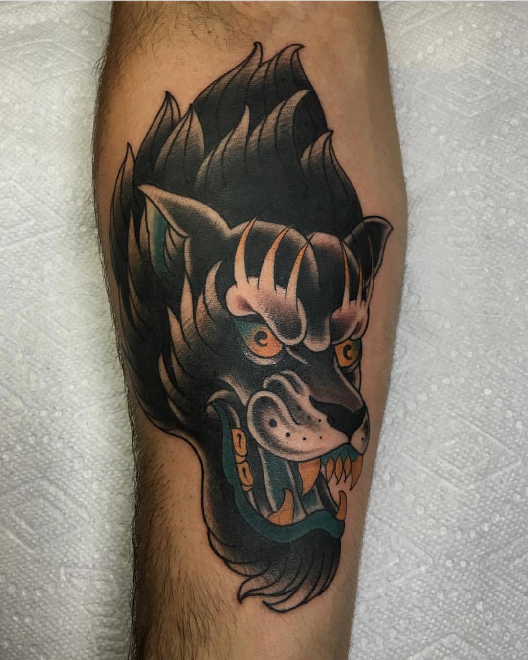 Tiger, Animal