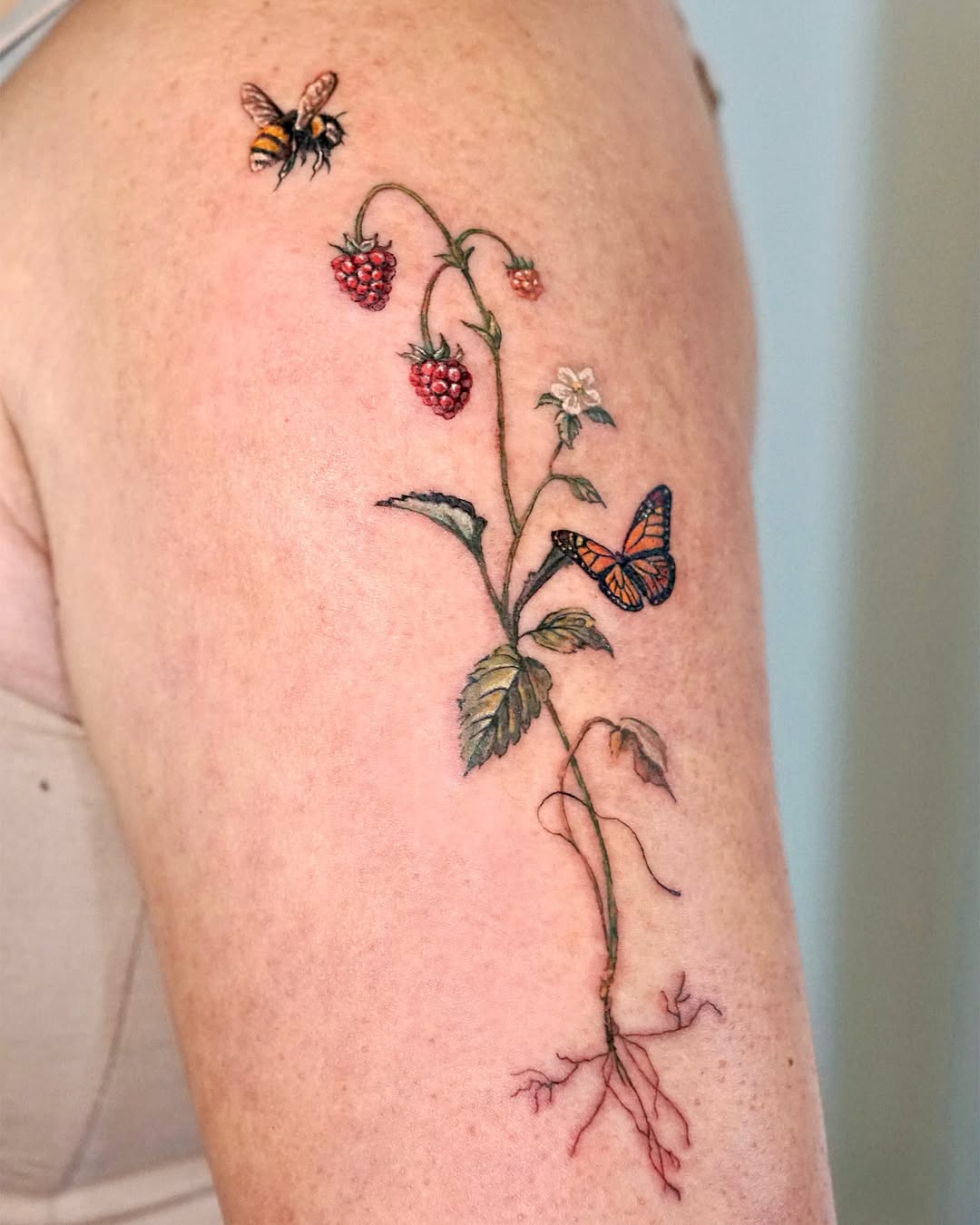 Flower, Rose