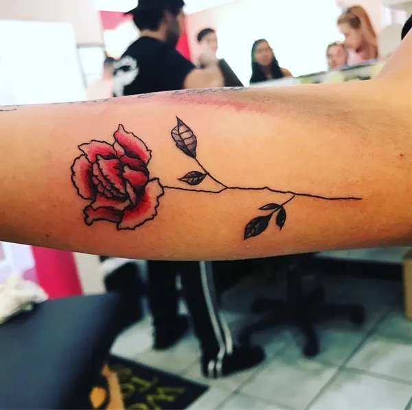 Flower, Rose
