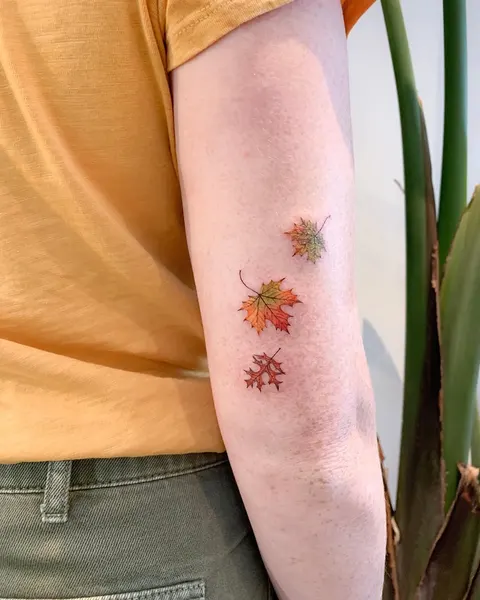 Lettering, Flower, 야생화, 선인장