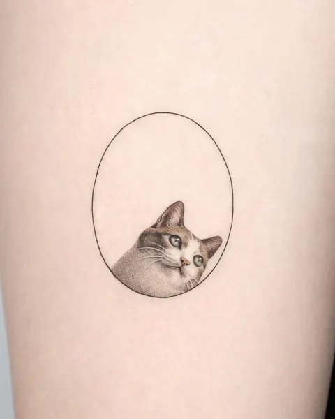 고양이