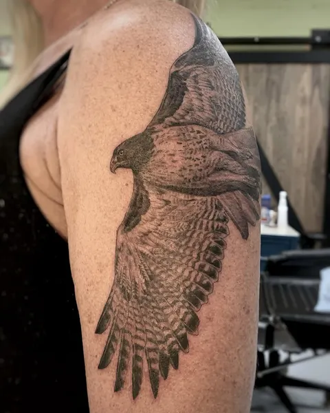 Animal