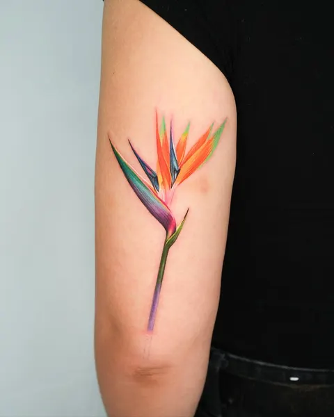 Flower, 양귀비