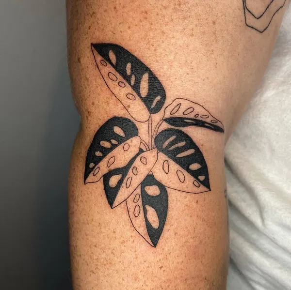 Rose, Flower