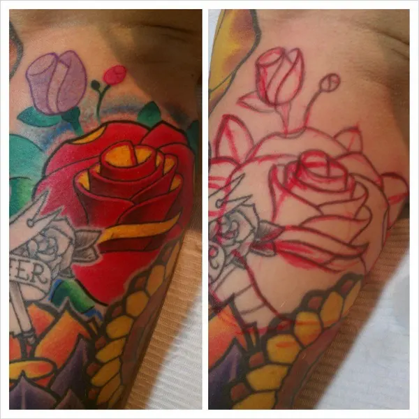 Flower, Rose