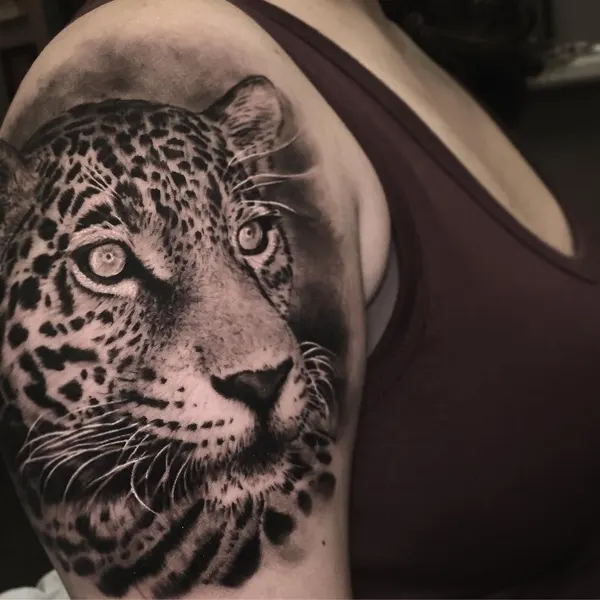Animal, 치타, 표범, 재규어, 팬서
