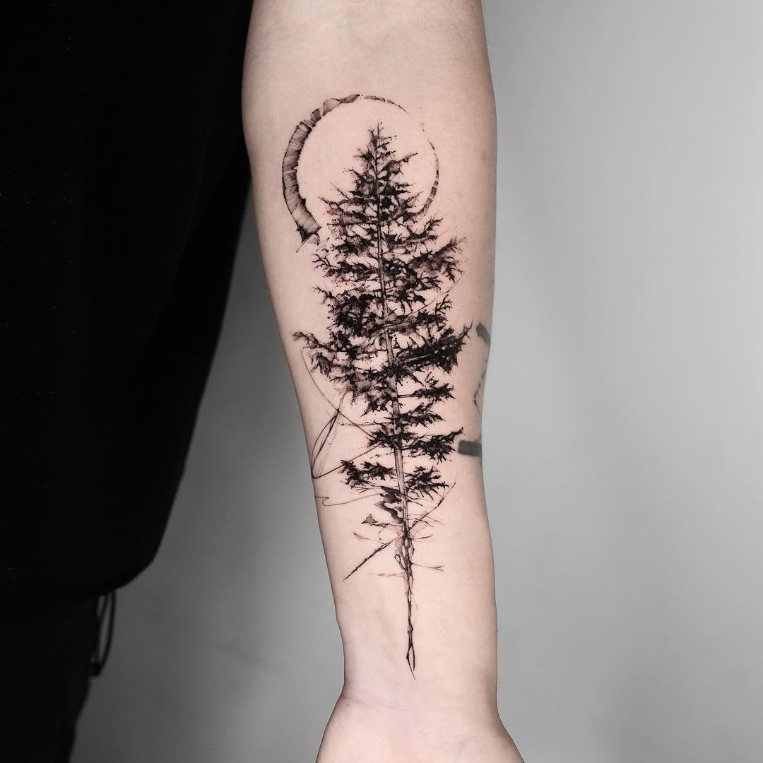 Nature, 소나무, 숲, 나무, 고사리