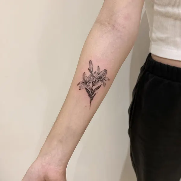 Flower, Rose, 뿌리, 덩굴, 나뭇가지, 야생화, 올리브 가지