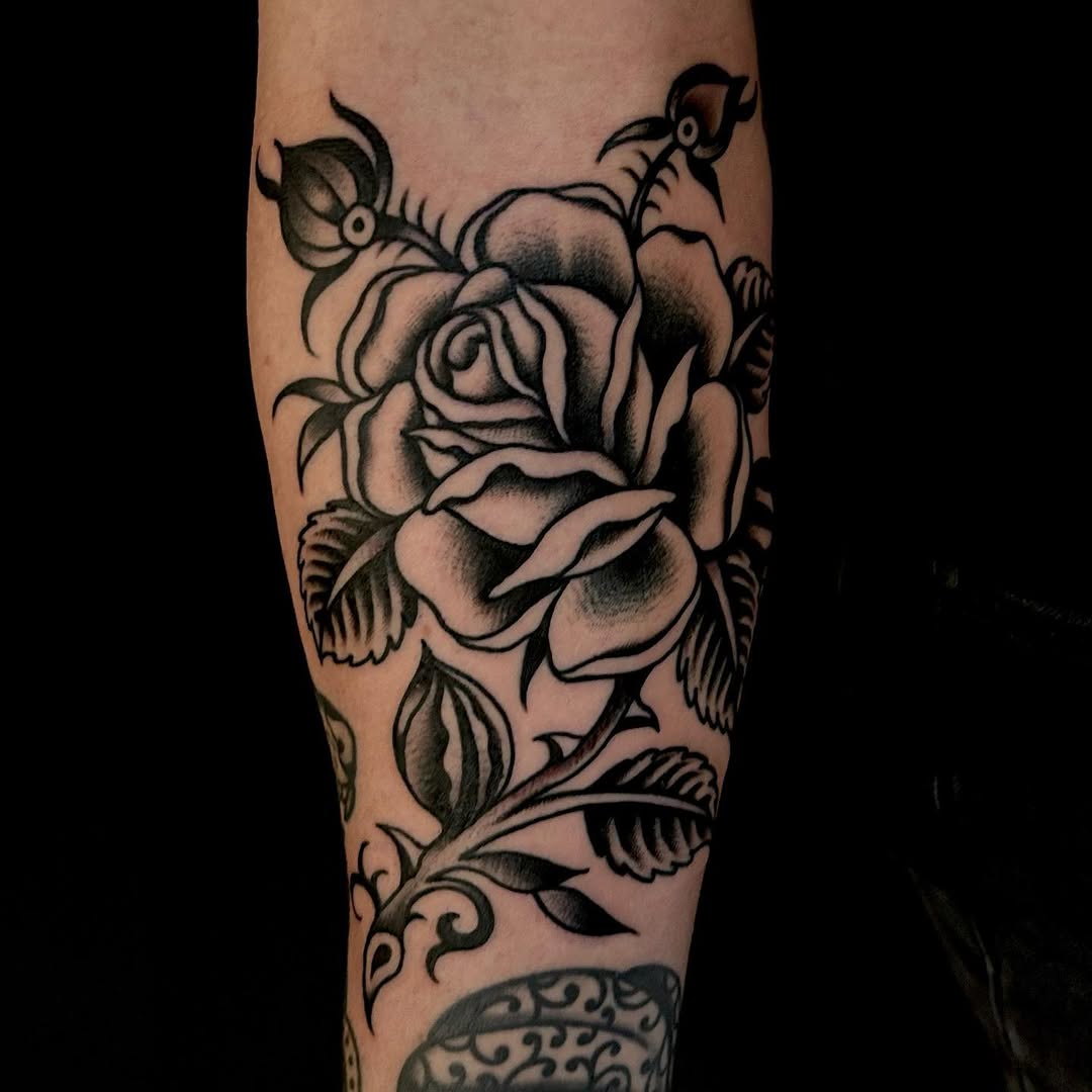 Flower, Rose