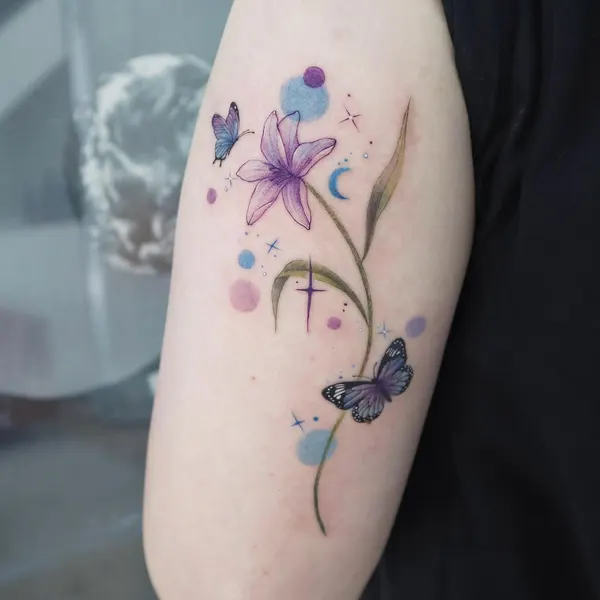Flower, Rose, 모란