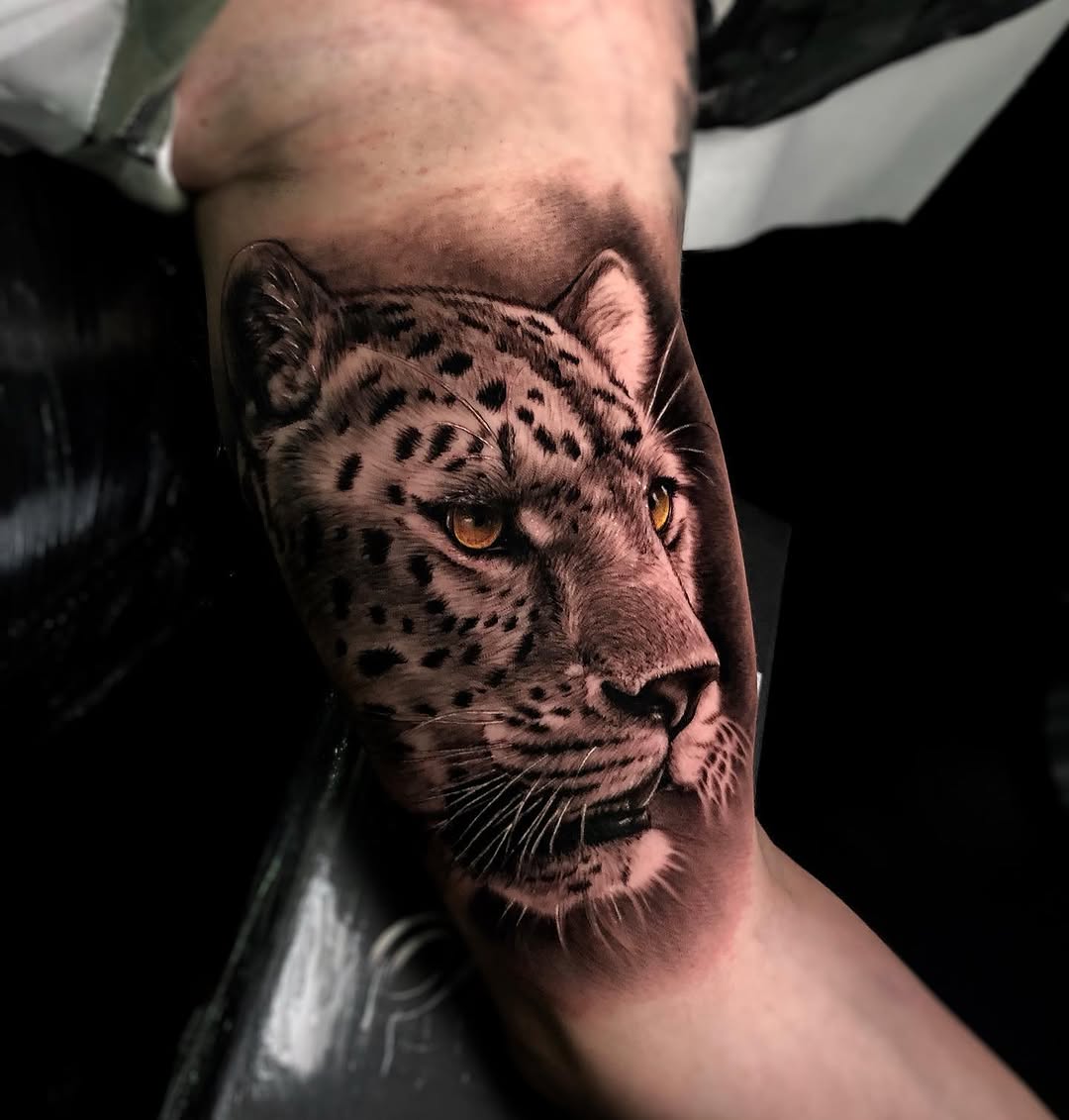 Animal, 표범, 재규어, 치타