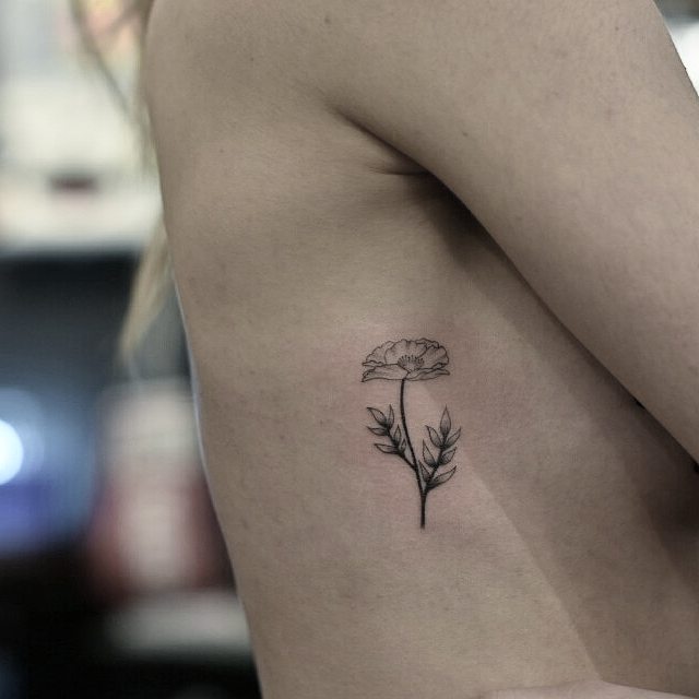Flower, Rose, 민들레