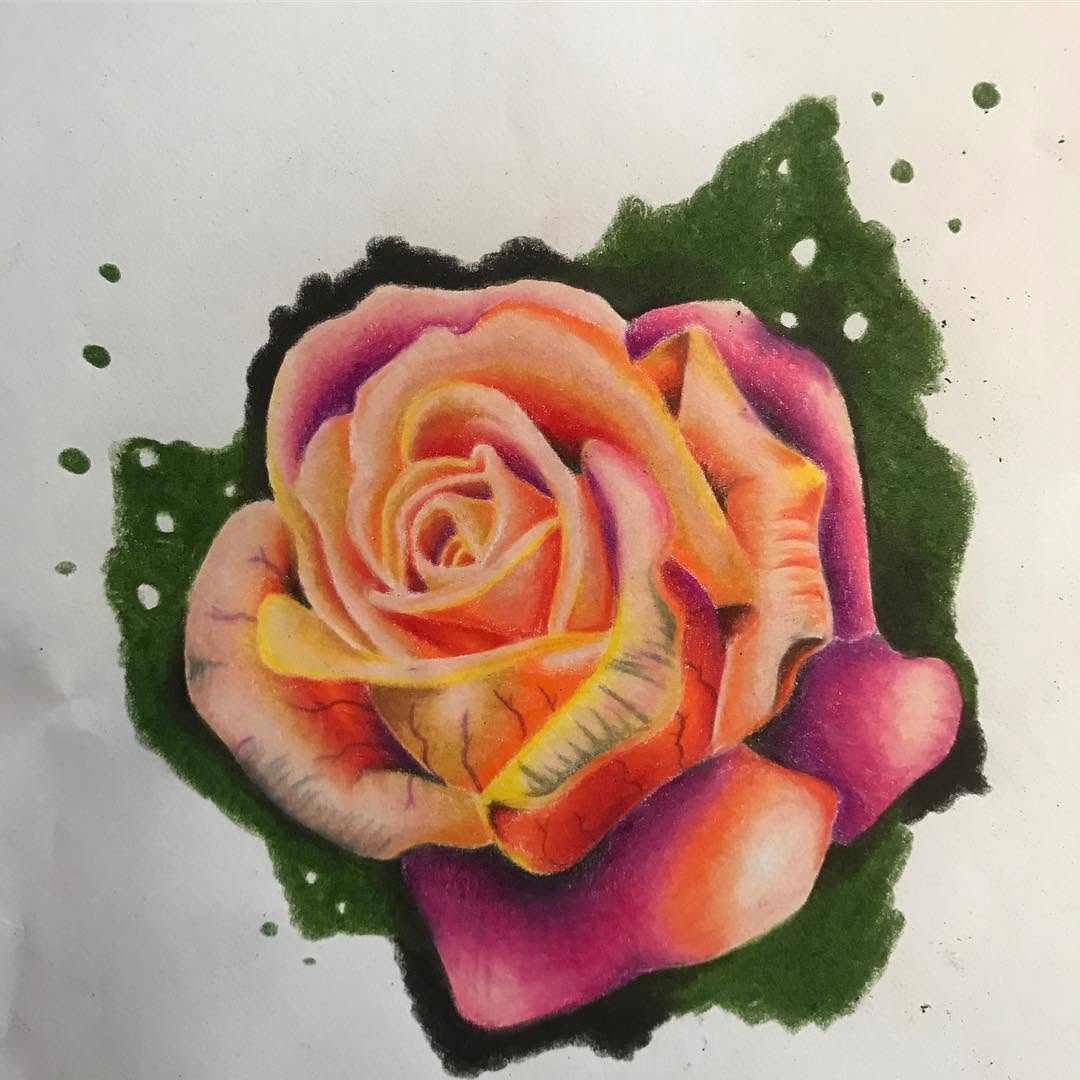Flower, Rose