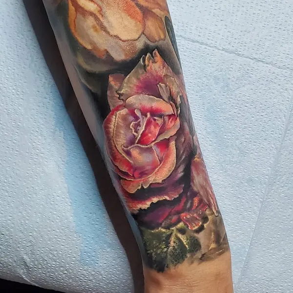 Flower, Rose