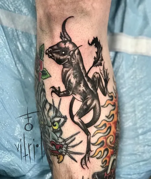 Dragon