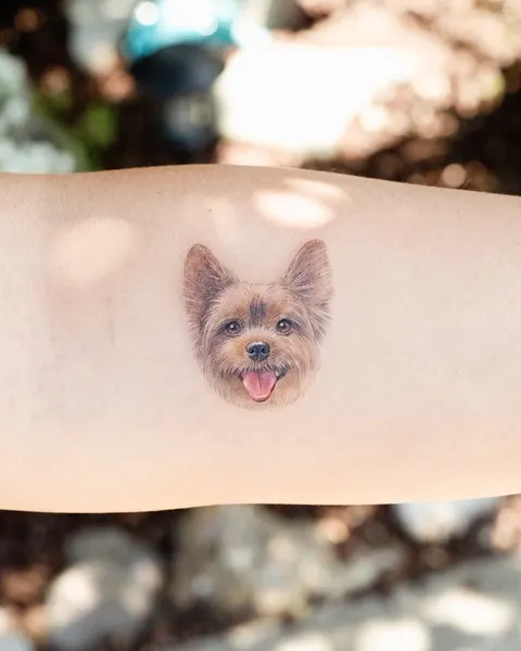 강아지, 반려동물, 반려동물 추모, Mini, 충성