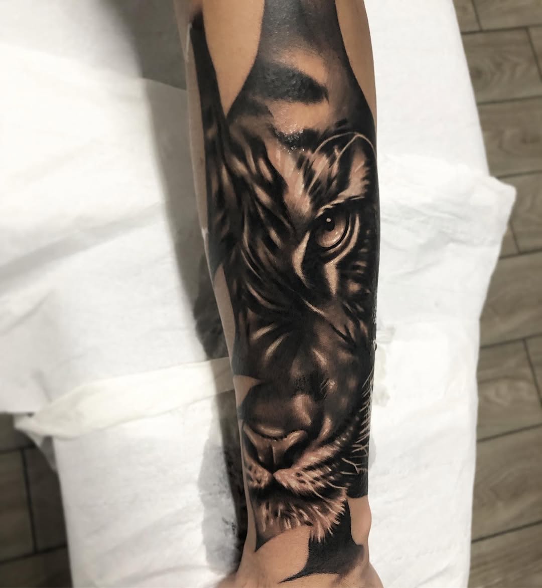Tiger, 치타, 팬서