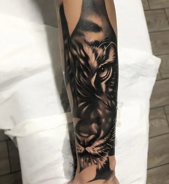 Tiger, 치타, 팬서