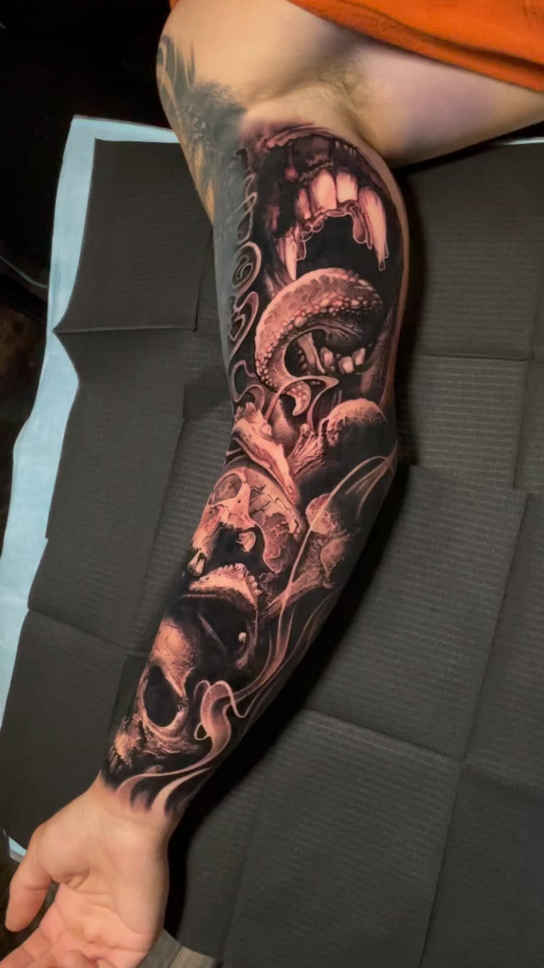 Animal, Dragon