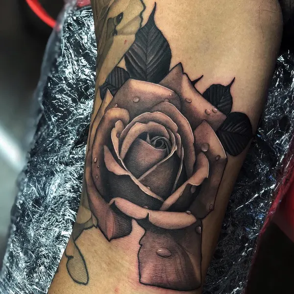Flower, Rose