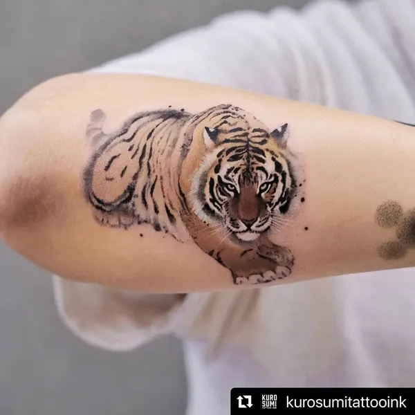 Tiger