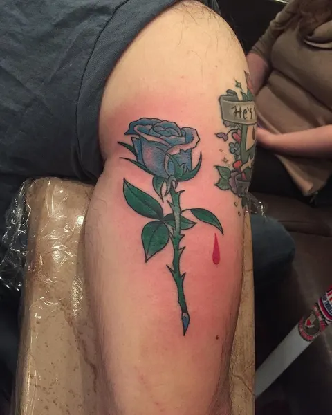 Flower, Rose, Nature