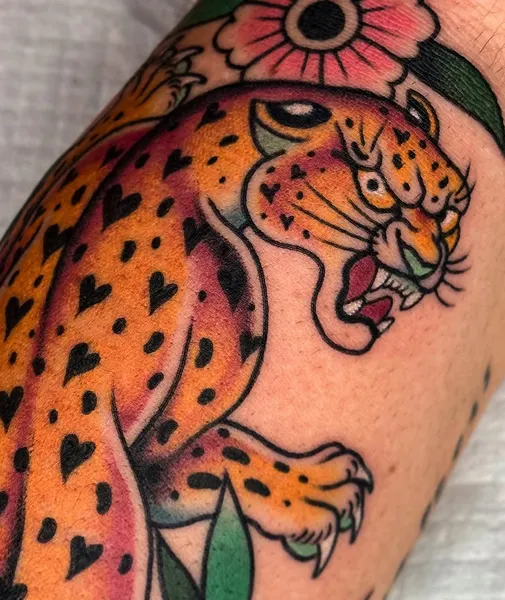 Tiger, Animal, 표범