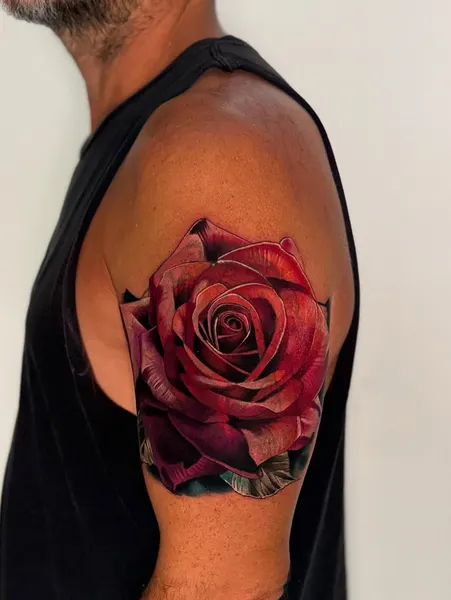 Rose, Nature, Flower