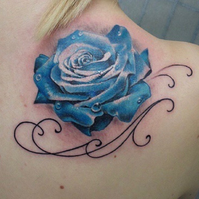 Flower, Rose, Nature