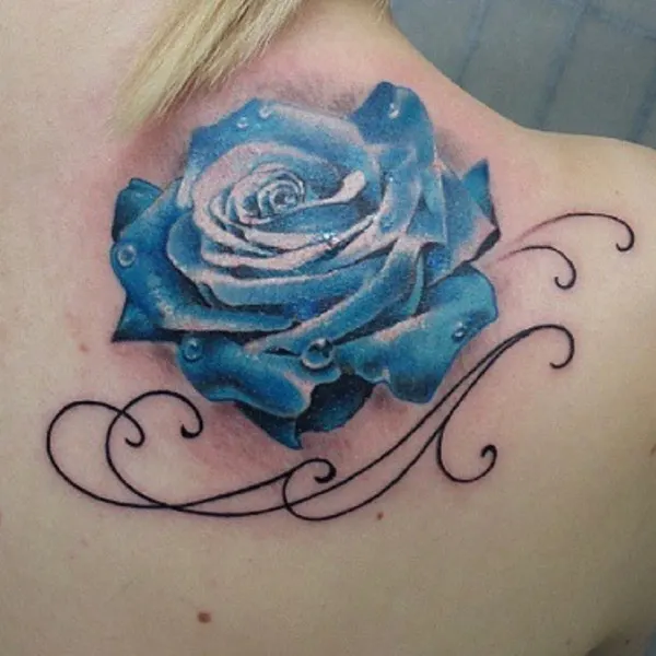 Flower, Rose, Nature