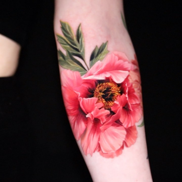 Flower, Rose, 양귀비